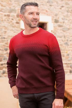 PULL GRANDE TAILLE
