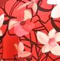 MOTIF 1