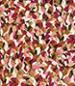 MOTIF B