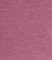 CASSIS