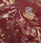 SANS COLORIS