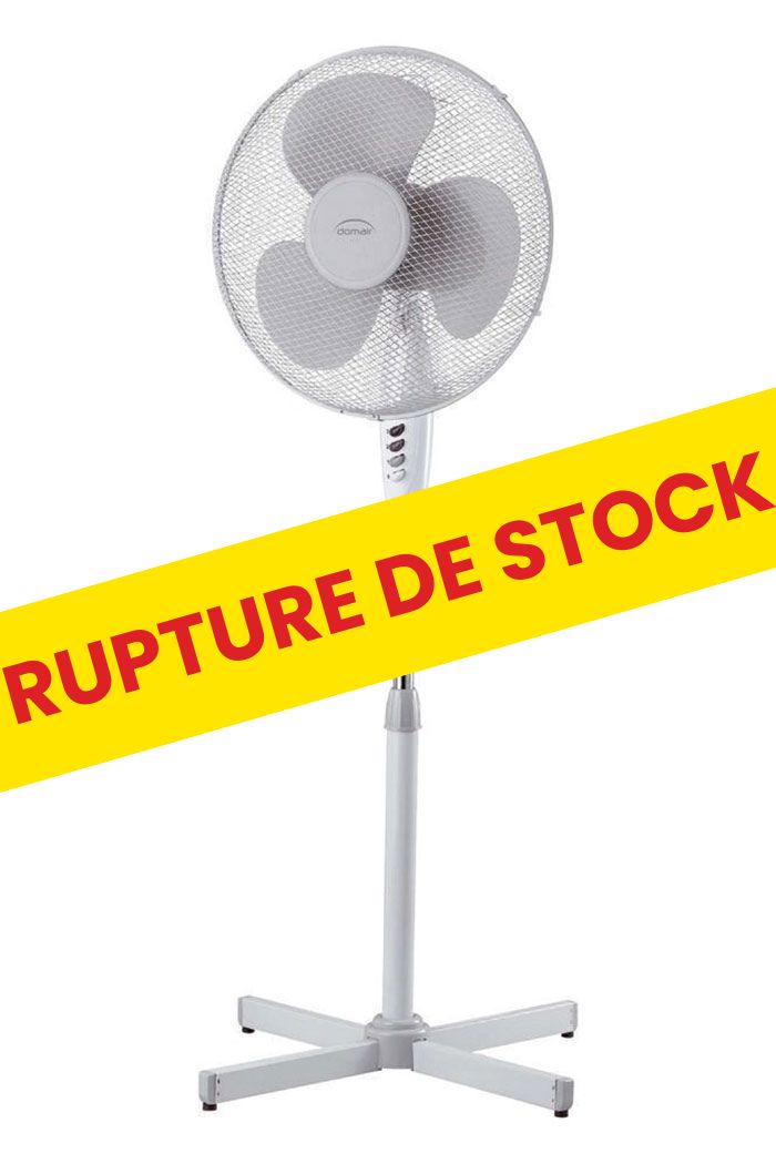 VENTILATEUR SUR PIED